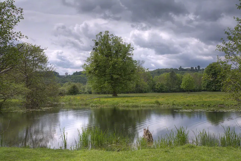 The River Thames at Runnymede near Egham